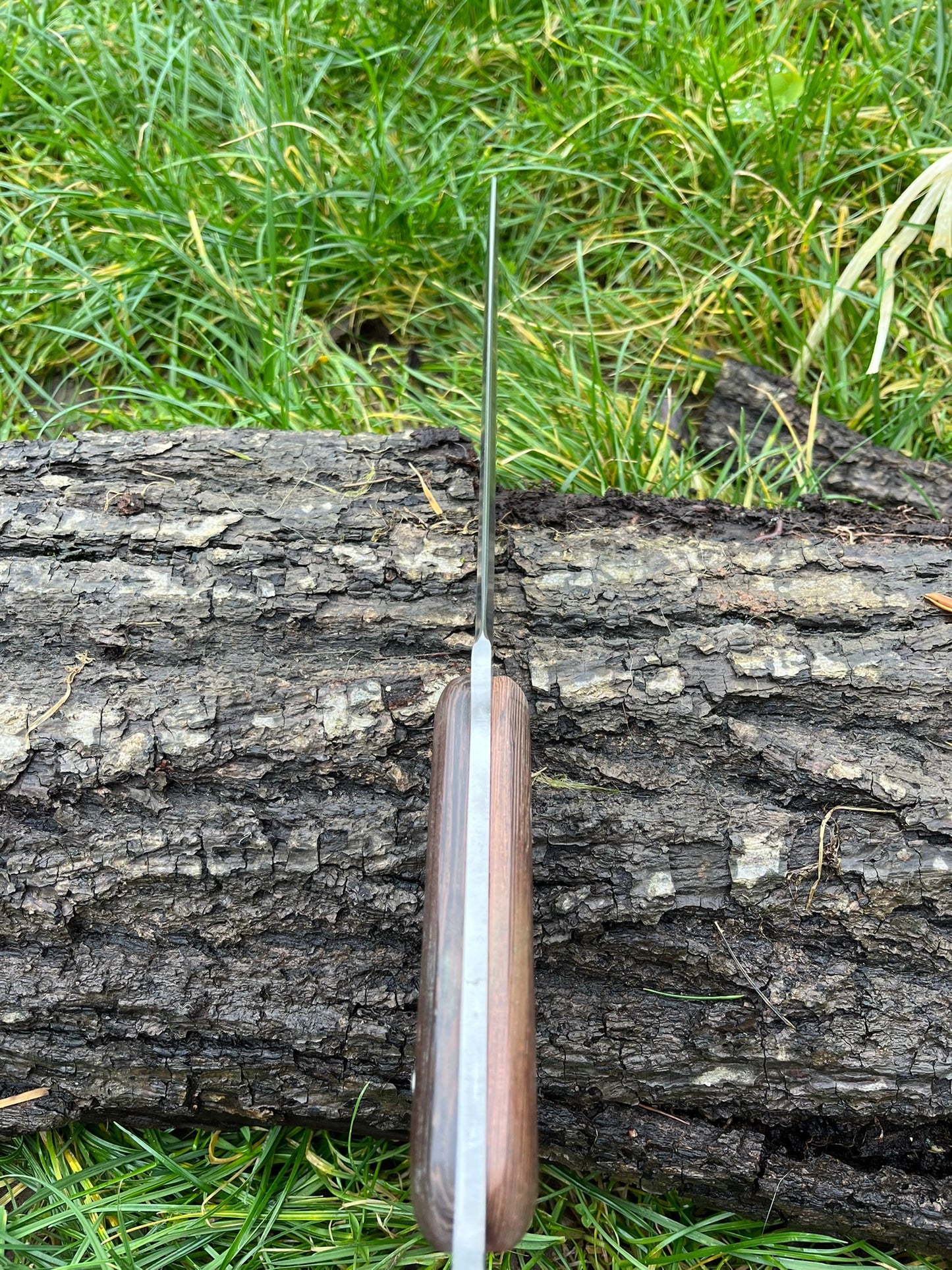 Dague Longue 44 cm – Élégance et Puissance en Main