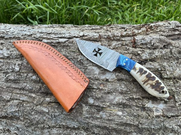 Couteau patrimoine TEMPLIER damas forgé LLF corne de bélier 20cm