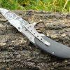 IMG_4265 couteau ouverture assistée 20 cm acier 440 liner lock gravure loup EDC