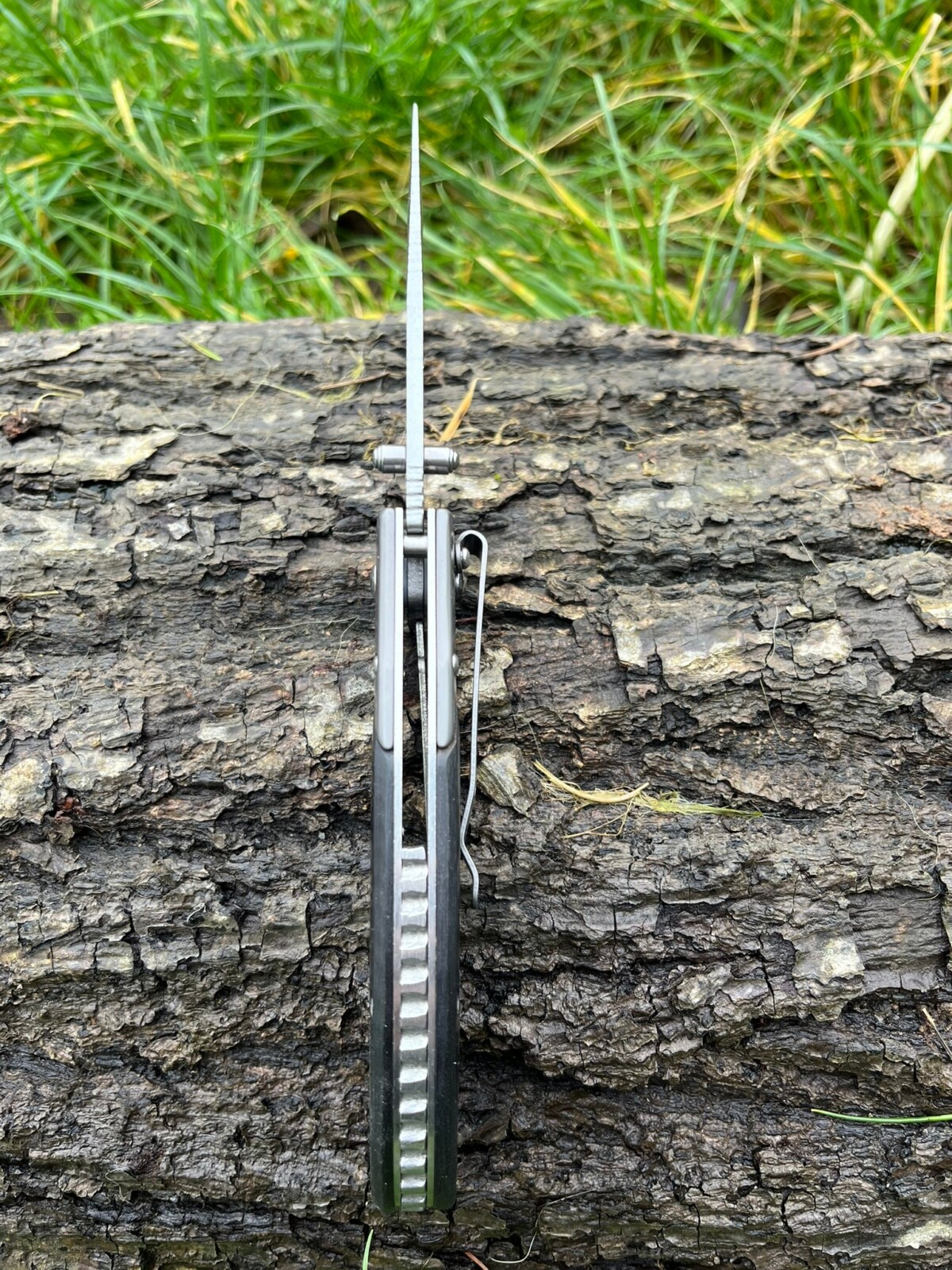 IMG_4266 couteau ouverture assistée 20 cm acier 440 liner lock gravure loup EDC