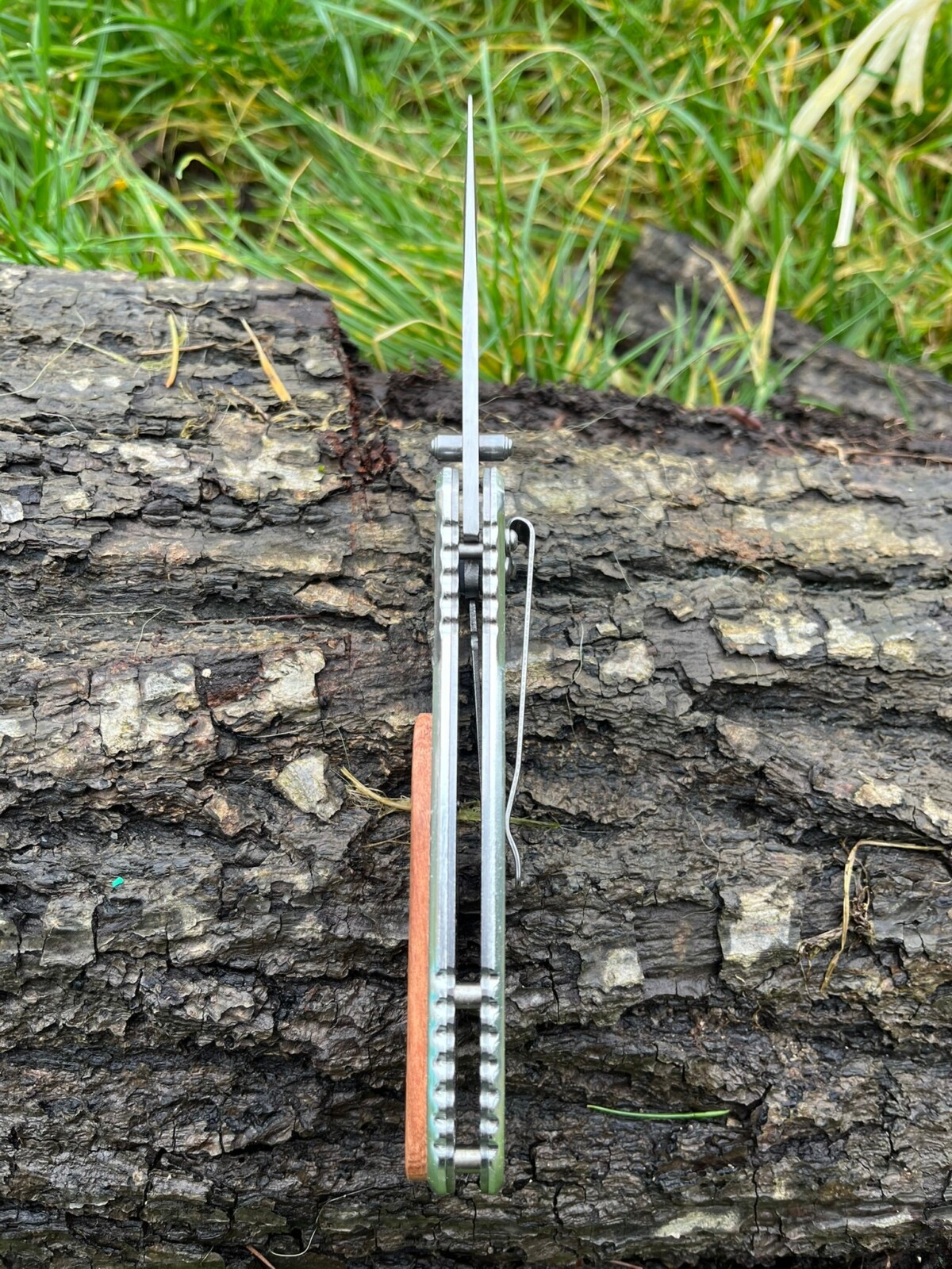 IMG_4325 Couteau EDC Asymétrique – Bois d’Olivier & Acier - 20 cm