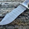IMG_4397 Couteau russe primal 24cm damas