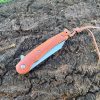 IMG_6635-1.jpg Couteau pliant D2 – Tanto modifié – Palissandre - linerlock