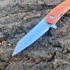 IMG_6637-1.jpg Couteau pliant D2 – Tanto modifié – Palissandre - linerlock