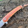 IMG_6638-1.jpg Couteau pliant D2 – Tanto modifié – Palissandre - linerlock