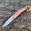 Couteau pliant D2 Drop Point Liner Lock Palissandre
