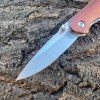 IMG_6643_2b9bcf4e-2e5e-4f74-8151-f43332173cb6-1.jpg Couteau pliant D2 – Drop point – Linerlock – Palissandre