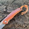 IMG_6644_da4860b8-5ce7-44bc-9334-692e6c2071a7-1.jpg Couteau pliant D2 – Drop point – Linerlock – Palissandre