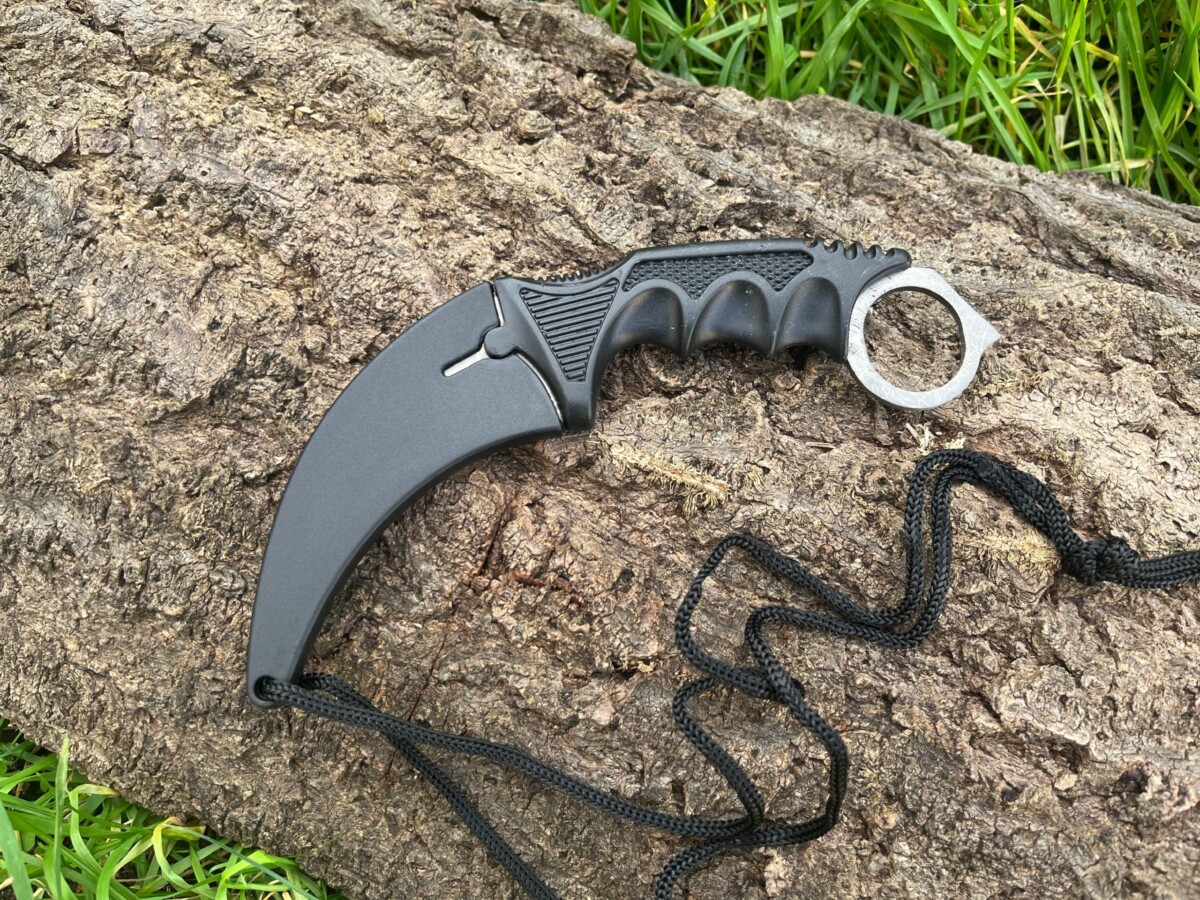 IMG_6885_4db93006-6bd6-44b1-90c3-d63b625ffd8d-1.jpg Karambit lame grise