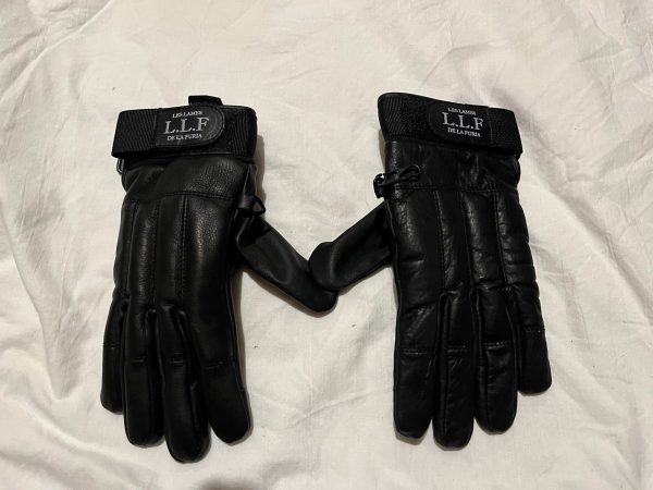 IMG_7628 Gants lestés DÉFENSEUR LLF cuir - kevlar - EVA
