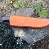 IMG_9622 Couteau Bushcraft LLF 24,5cm acier D2