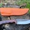 IMG_9623 couteau bushcraft LLF 24,5cm acier D2 manche bois de rose étui cuir vue principale