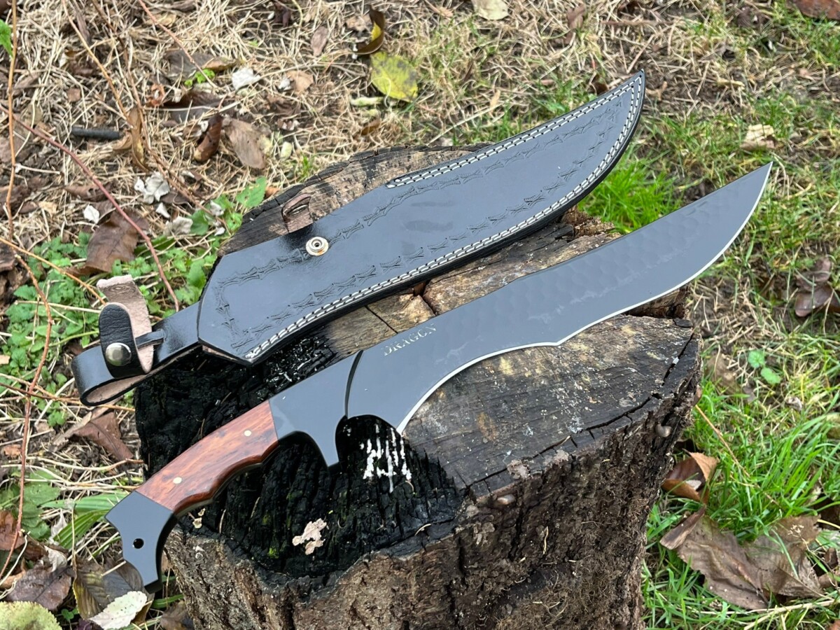 IMG_9663 Bowie forgé LLF DRAGON 47.5cm