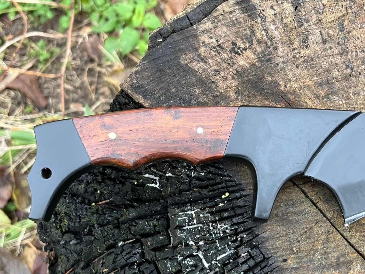 IMG_9668 Bowie forgé LLF DRAGON 47.5cm