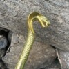 Canne Épée Tête de Cobra – Lame 30 cm – 98 cm – Doré ou Argent Antique