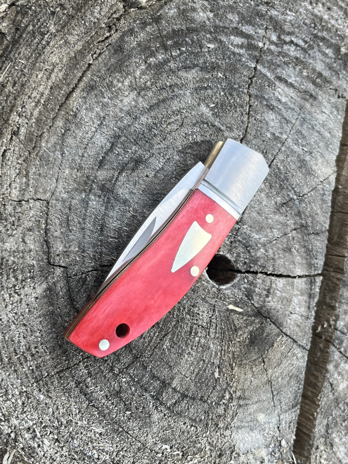Couteau pliant traditionnel 14C28N Sandvik manche os rouge