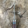 IMG_8174 Couteau de chasse VG10 premium