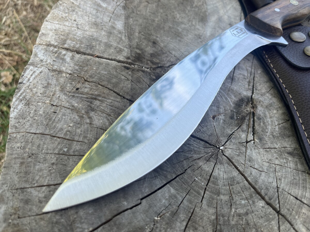 IMG_8923 Lame Recurve X46Cr13 21 cm profil inspiré Kukri