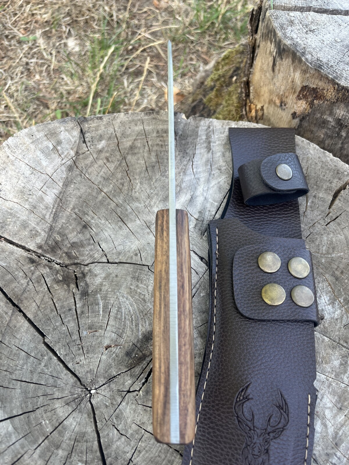 IMG_8926 Couteau de coupe Recurve 33 cm Full Tang Les Lames de la Furia