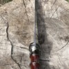 IMG_8979 Gladius ornemental 43 cm lame acier carbone gravée avec fourreau