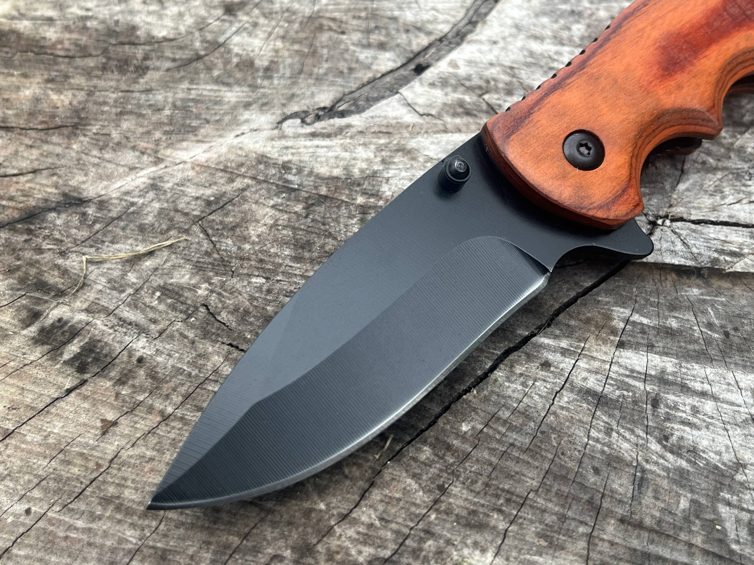 Gros plan de la lame noire Drop Point à émouture creuse du BLACKWOOD ASSIST